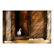 Duck - Welcome to my Home posters