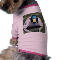 Duck Wild Animal pet clothing by lifesphere Duck Wild Animal pet clothing