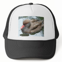 duck with red beak hats