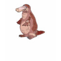 duckbill platypus t-shirts