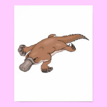 duckbilled platypus posters by doonidesignsanimals duckbilled platypus posters