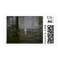 DuckButt postage