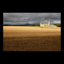 Ducketts Grove Castle posters