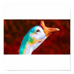 art, poster, animal, digital