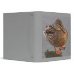 Duckie 3 Ring Binders