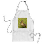 Duckling Aprons