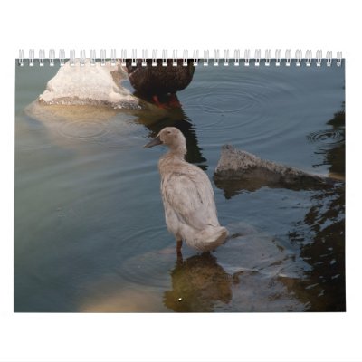 Duckling calendar Duckling calendar