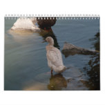 Duckling calendar