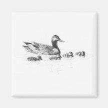 Duckling Magnet
