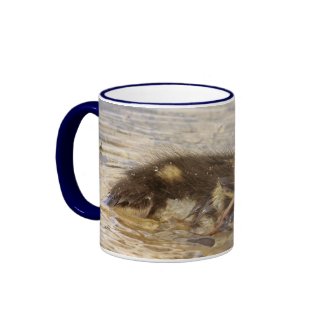 Duckling mug