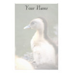 Duckling Stationery Paper