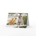 Ducklings and Kitten cards by postcardsfromtheedge Ducklings and Kitten cards