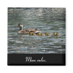 Ducklings in a row - Mom Rules Fridge Magnet