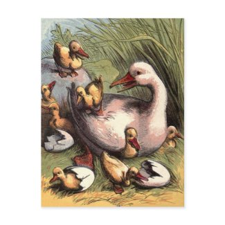 Ducklings Just Hatched Vintage Image postcard