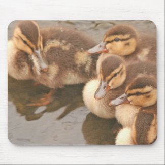 Ducklings Mousepad mousepad