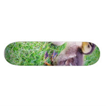Ducklings On The Grass Skate Boards