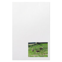 Ducklings on the Grass Customized Stationery