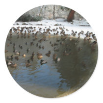 duckpond in winter stickers