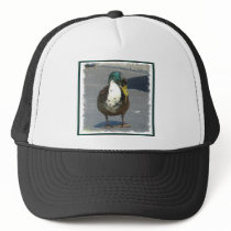 ducks 002ss hats by rusty2rusty ducks 002ss hats