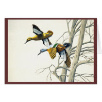 Ducks #2 cards by raytcook Ducks #2 cards