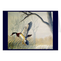 Ducks #3 cards by raytcook Ducks #3 cards
