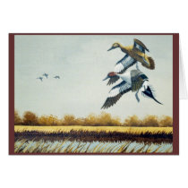 Ducks #4 cards by raytcook Ducks #4 cards