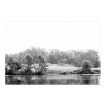 ducks-and-goose-2012-05-26 print