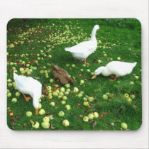 Ducks and goose in apple windfalls use mat