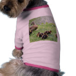 Ducks Animals Pet Clothes