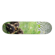 Ducks Animals Skate Boards