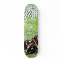 Ducks Animals skateboards by lifesphere Ducks Animals skateboards