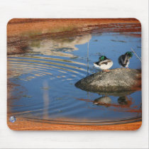 DUCKS AT JOSHUA mousepads by sandytravel DUCKS AT JOSHUA mousepads