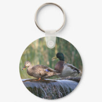 ducks at the falls keychains by kmullarney ducks at the falls keychains