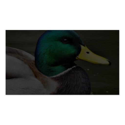Ducks Bills Business Card (back side)