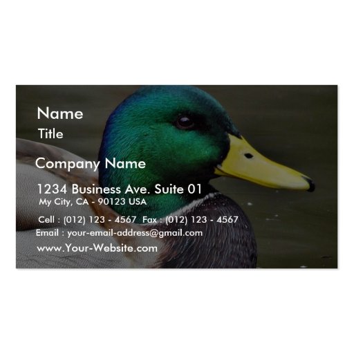 Ducks Bills Business Card (front side)