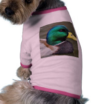 Ducks Bills Dog T-shirt
