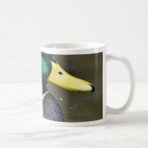 Ducks Bills Mugs