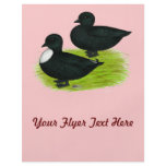 Ducks:  Black Calls flyers