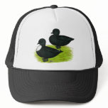 Ducks:  Black Calls hats