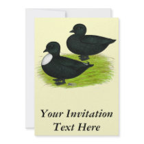 Ducks:  Black Calls Custom Announcement
