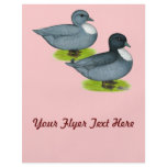 Ducks:  Blue Calls flyers