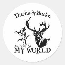 DUCKS & BUCKS STICKER