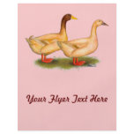 Ducks:  Buff Orpington Personalized Flyer