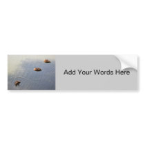 Ducks bumper stickers