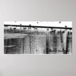 Ducks by Betsy Michael Print