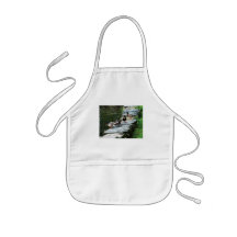Ducks by the Pond Apron