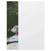 Ducks by the Pond Personalized Flyer