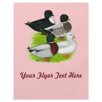 Ducks:  Call Quartet Flyer