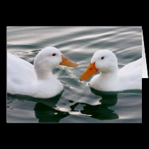 Ducks cards
