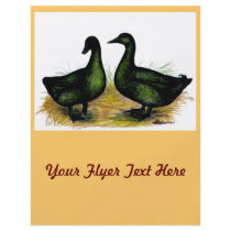 Ducks:  Cayuga Pair Flyer Design